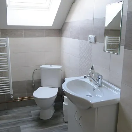 Apartmany U Mlyna Velke Losiny Exterior photo