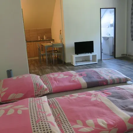 Apartmany U Mlyna Velke Losiny Exterior photo