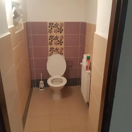 Apartmany U Mlyna Velke Losiny Exterior photo