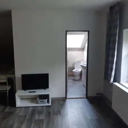 Apartmany U Mlyna Velke Losiny Exterior photo